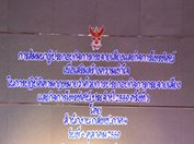 DSC_8292.JPG